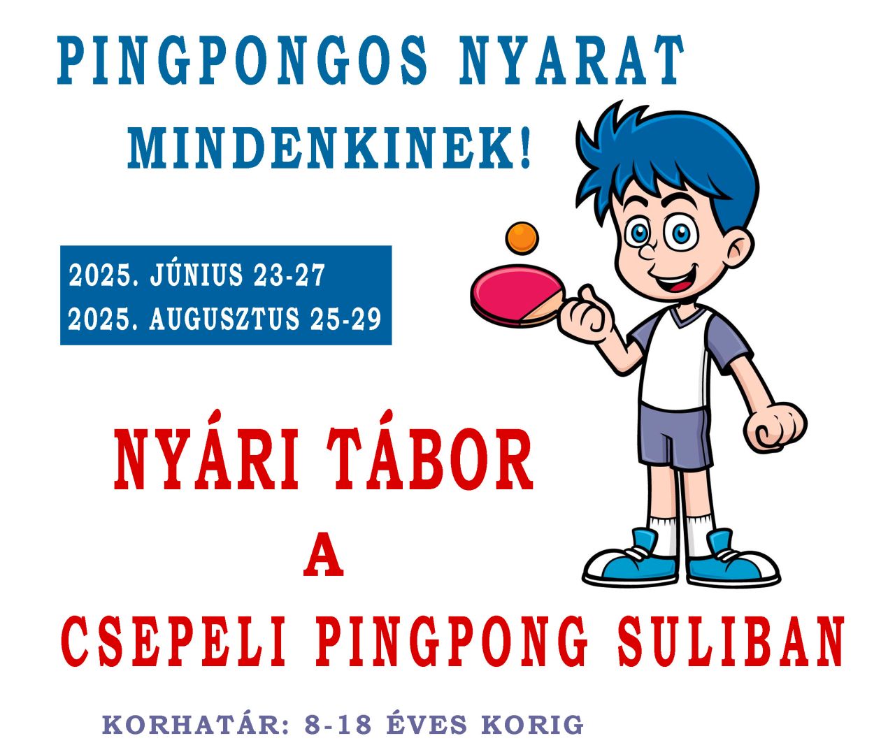 Pingpong Suli Nyári Tábor