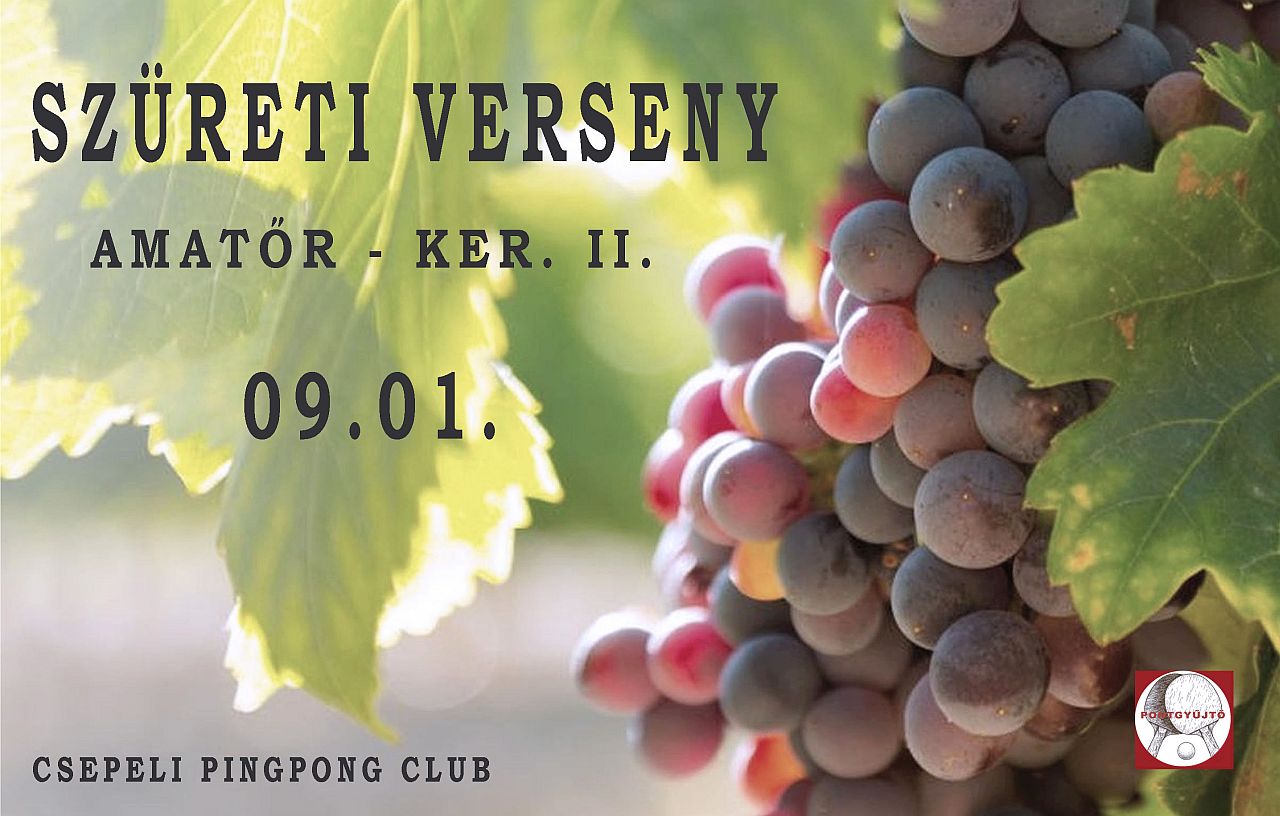 Szüreti Verseny - Amatőr - Ker. II.