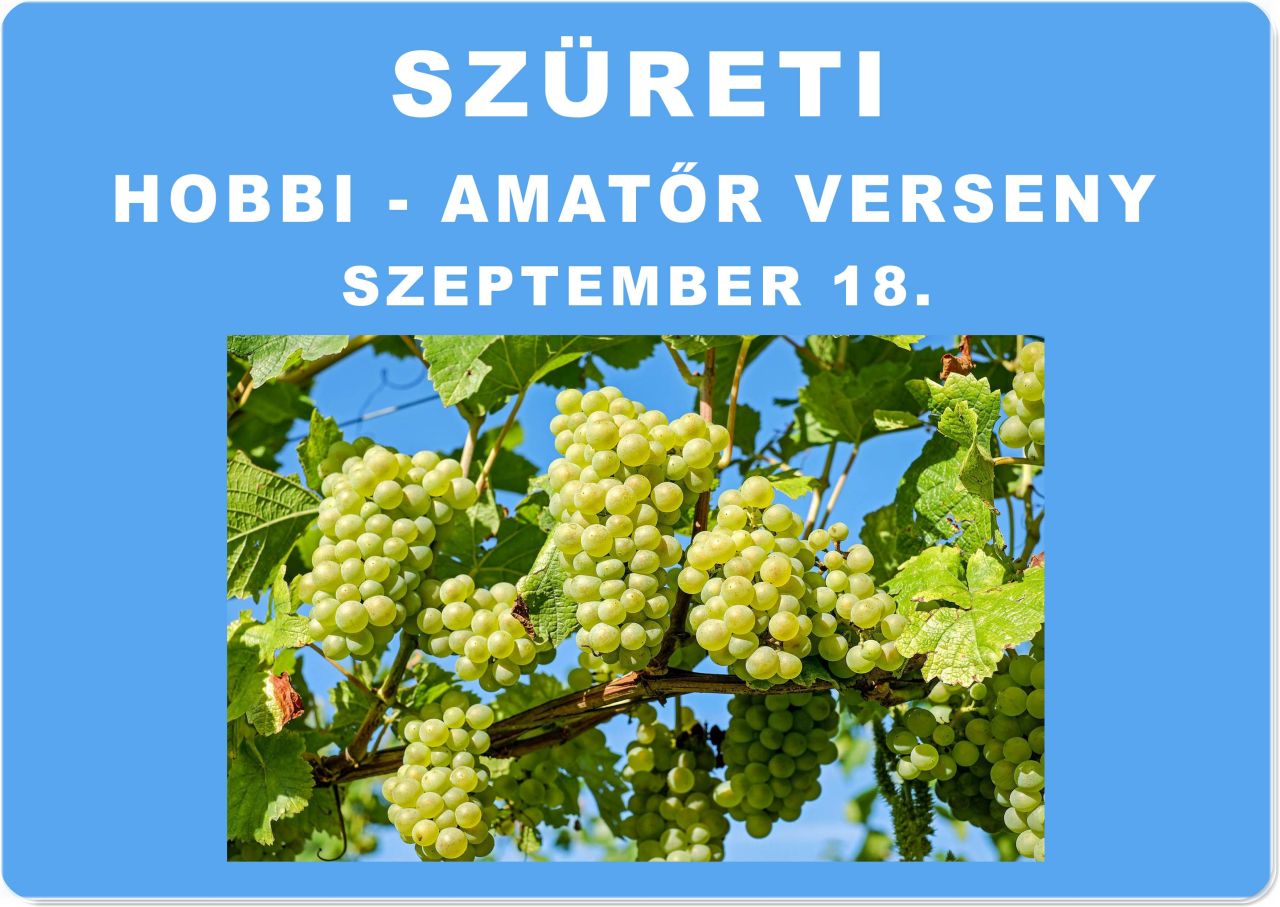 Szüreti Hobbi - Amatőr verseny